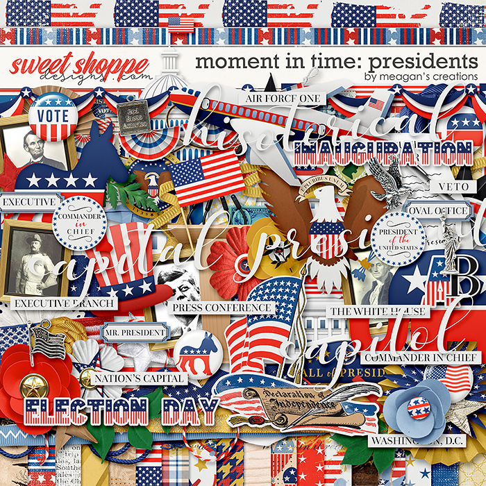 Moment in Time: Presidents by Meagan's Creations