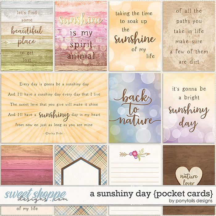 A Sunshiny Day Pocket Cards by Ponytails