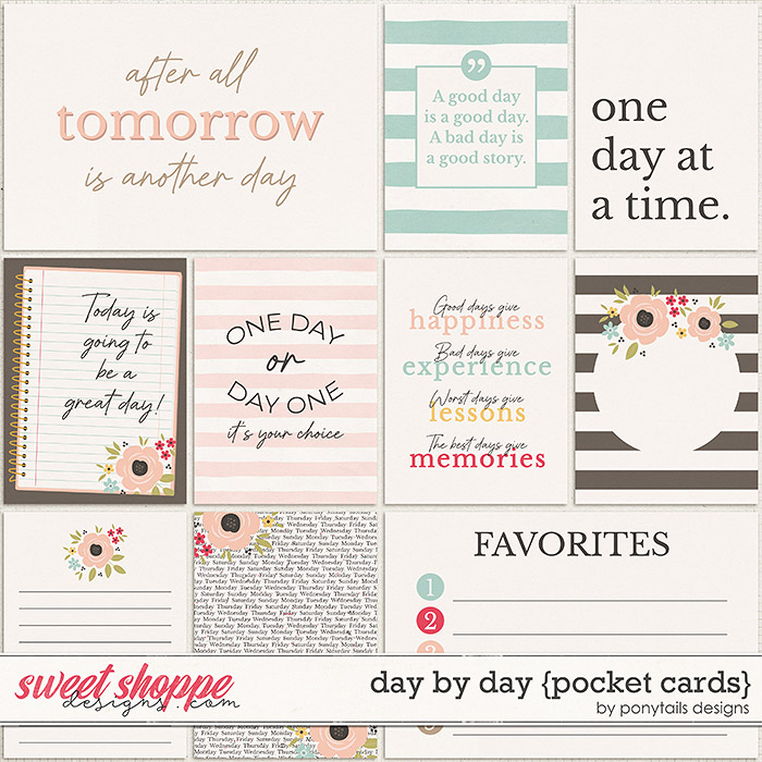 Day by Day Pocket Cards by Ponytails