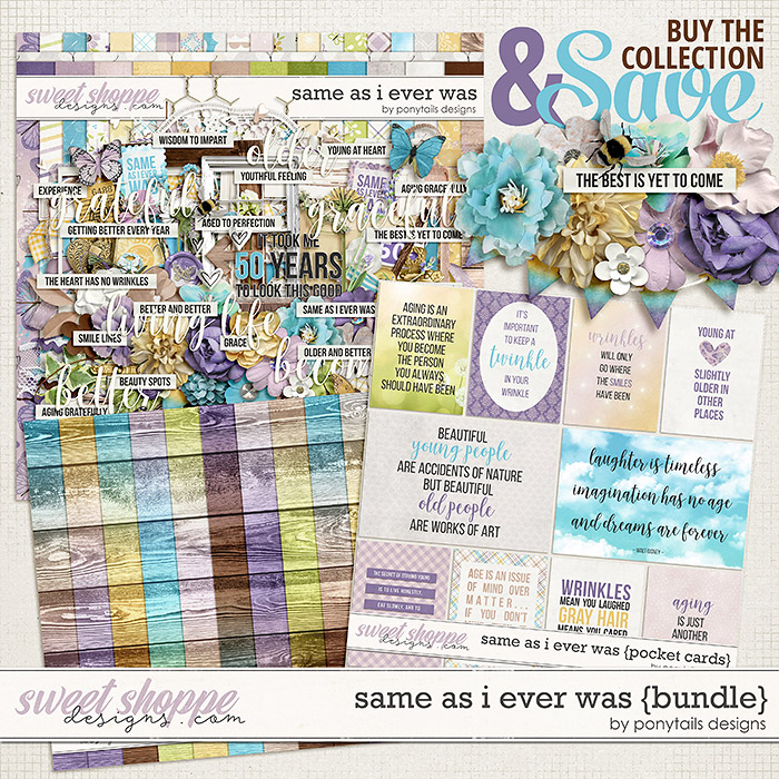 Same As I Ever Was Bundle by Ponytails