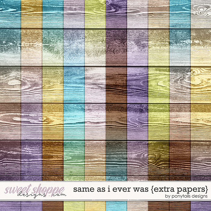 Same As I Ever Was Extra Papers by Ponytails