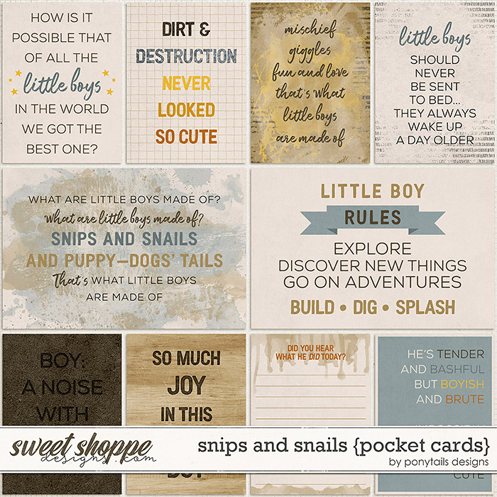 Snips and Snails Pocket Cards by Ponytails
