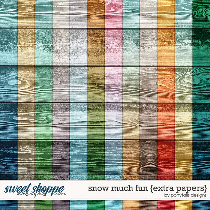 Snow Much Fun Extra Papers by Ponytails