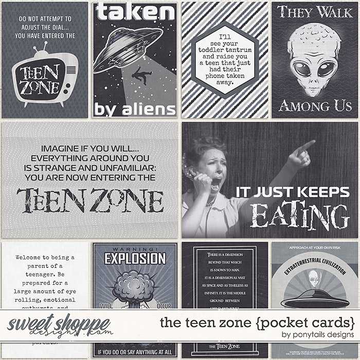 The Teen Zone Pocket Cards by Ponytails