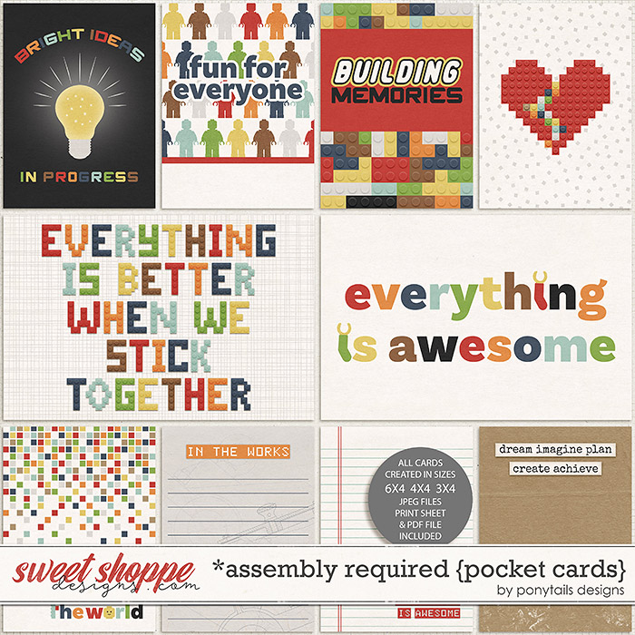 Assembly Required Pocket Cards by Ponytails