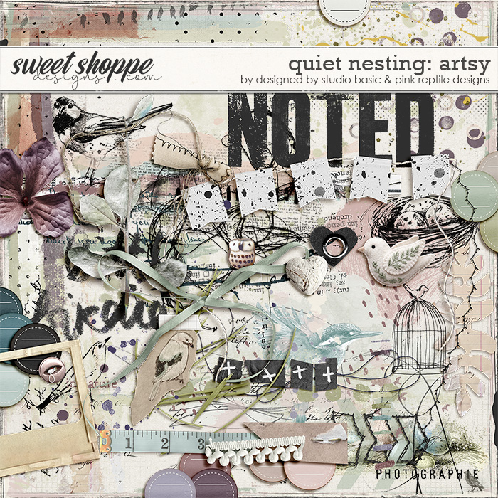 Quiet Nesting Artsy by Pink Reptile & Studio Basic