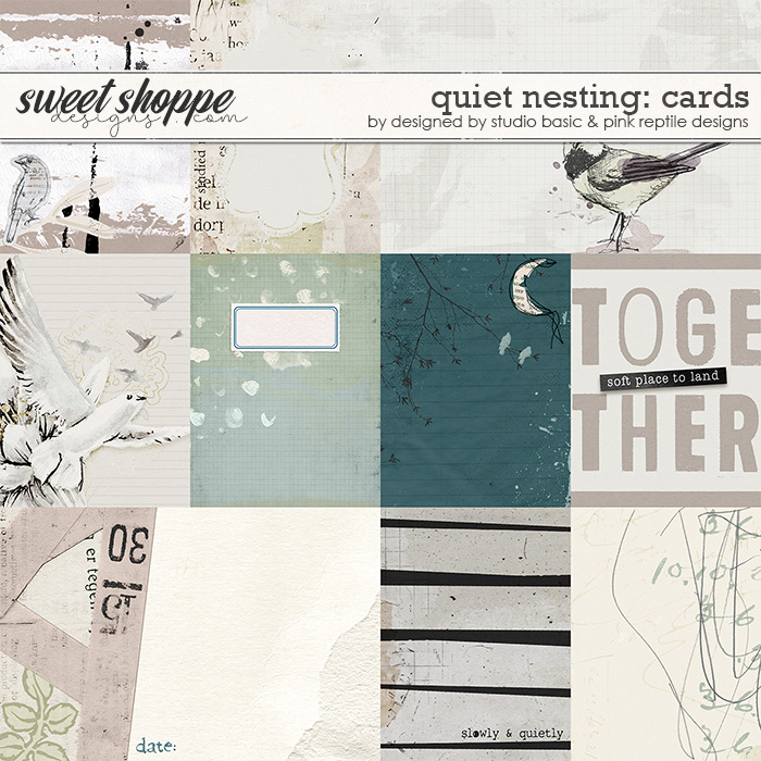 Quiet Nesting Cards by Pink Reptile & Studio Basic