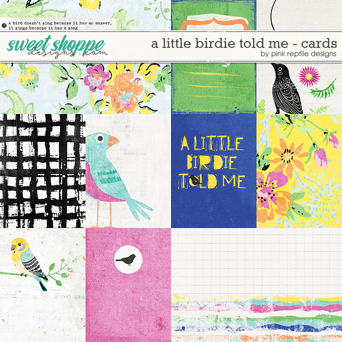 A Little Birdie Told Me Cards by Pink Reptile Designs