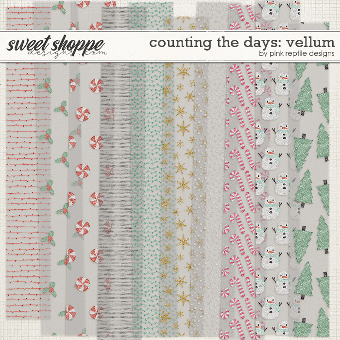Counting The Days Vellum by Pink Reptile Designs