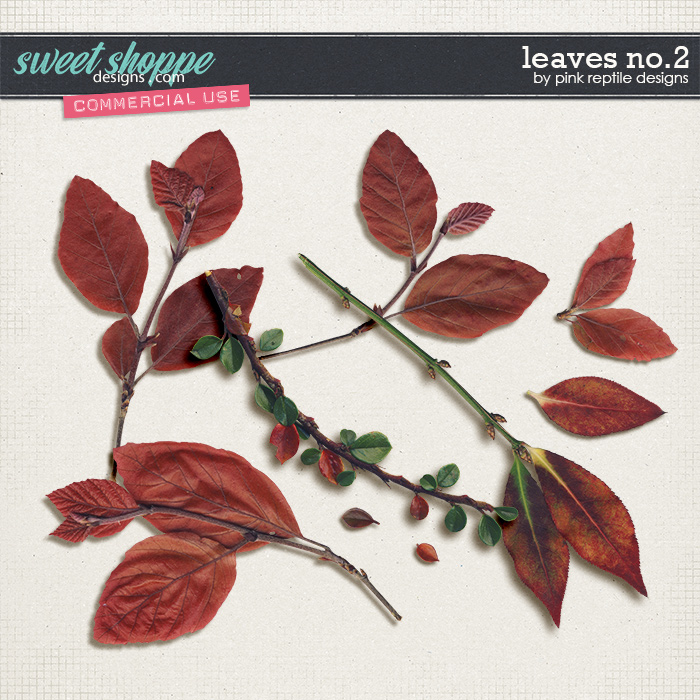 CU | Leaves No.2 by Pink Reptile Designs