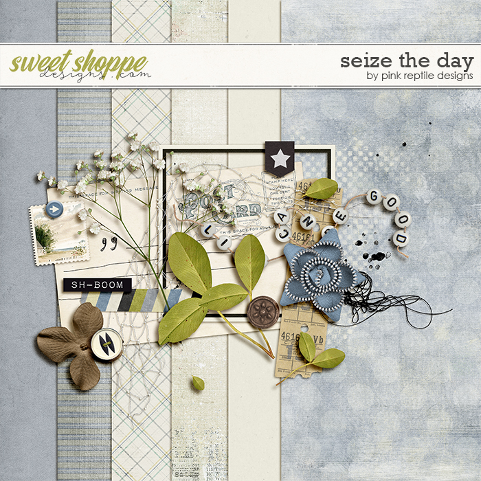 Seize The Day by Pink Reptile Designs Seize The Day by Pink Reptile Designs