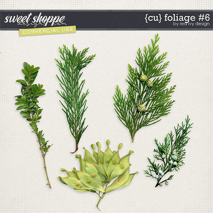 CU Foliage #6 by Red Ivy Design