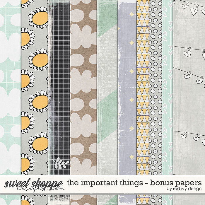 The Important Things - Bonus Papers