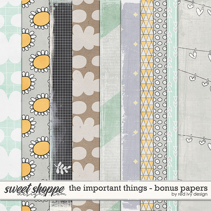 The Important Things - Bonus Papers The Important Things - Bonus Papers