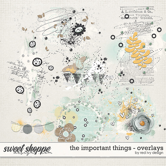 The Important Things - Overlays