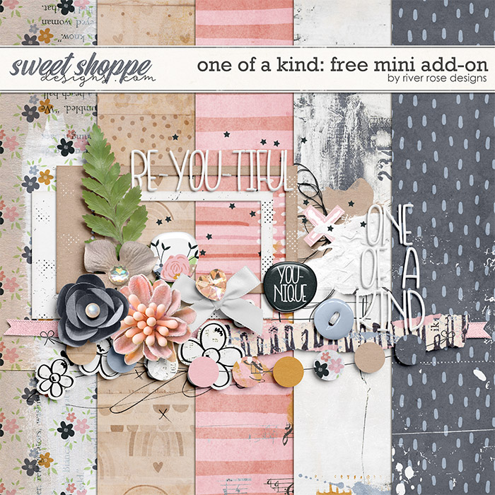 One of a Kind: Mini Add-on by River Rose Designs One of a Kind: Mini Add-on by River Rose Designs