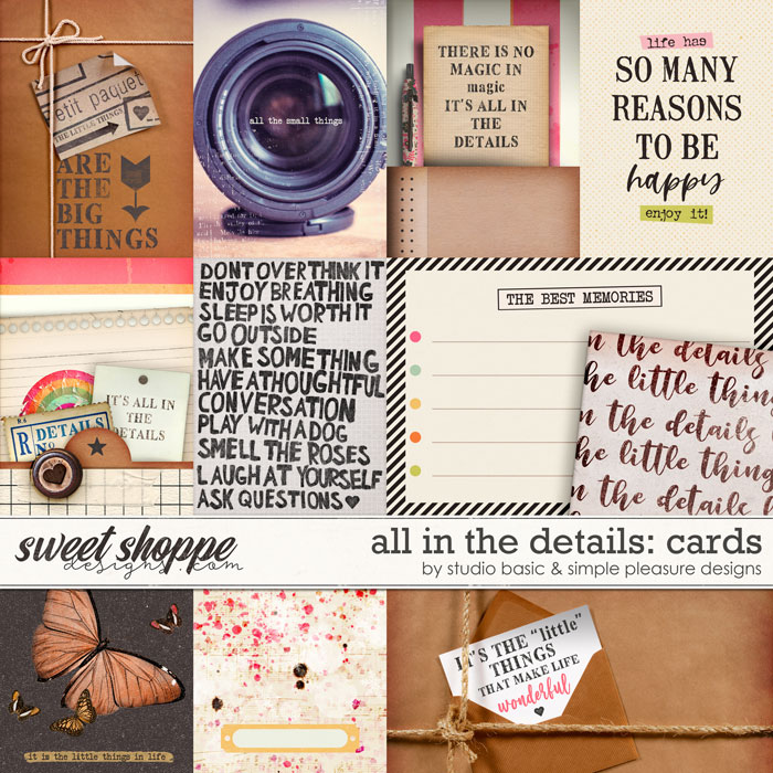 All In The Details Cards by Simple Pleasure Designs and Studio Basic