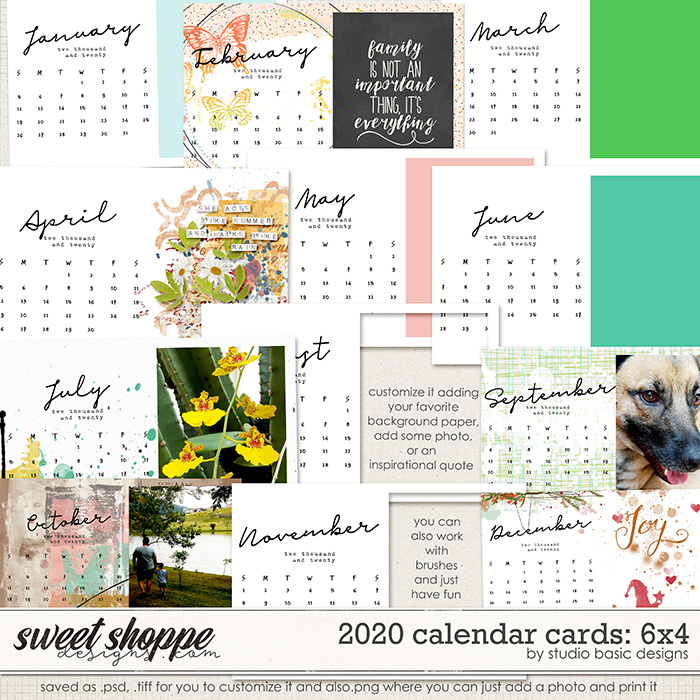 2020 Calendar 6x4 Cards by Studio Basic