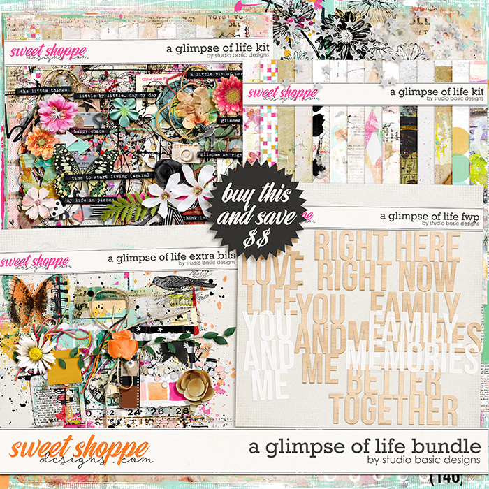 A Glimpse Of Life Bundle by Studio Basic