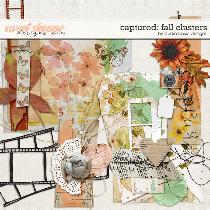Captured: Fall Clusters by Studio Basic Captured: Fall Clusters by Studio Basic