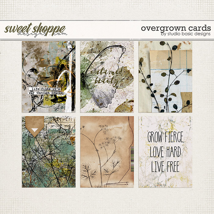 Overgrown Cards by Studio Basic 