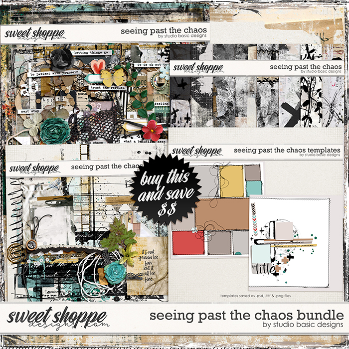 Seeing Past The Chaos Bundle by Studio Basic