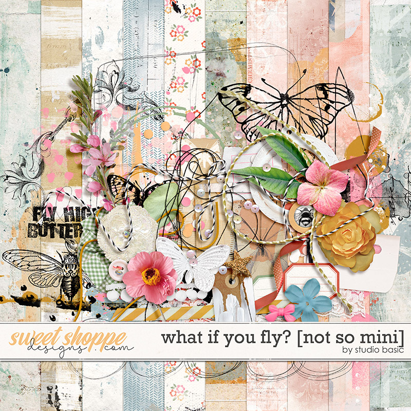 What If You Fly? [NOT SO mini] by Studio Basic