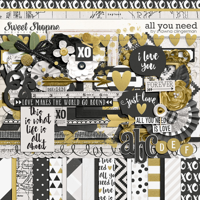 sclingerman-allyouneed-preview.jpg