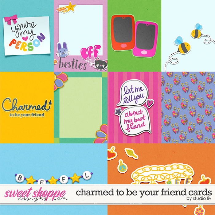 Charmed To Be Your Friend Pocket Cards by Studio Liv