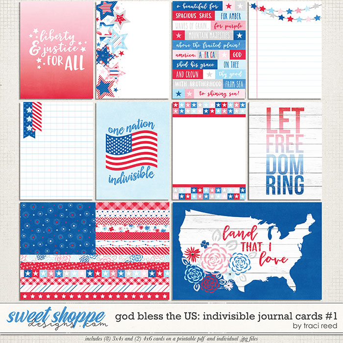 God Bless The US: Indivisible Journal Cards #1 by Traci Reed