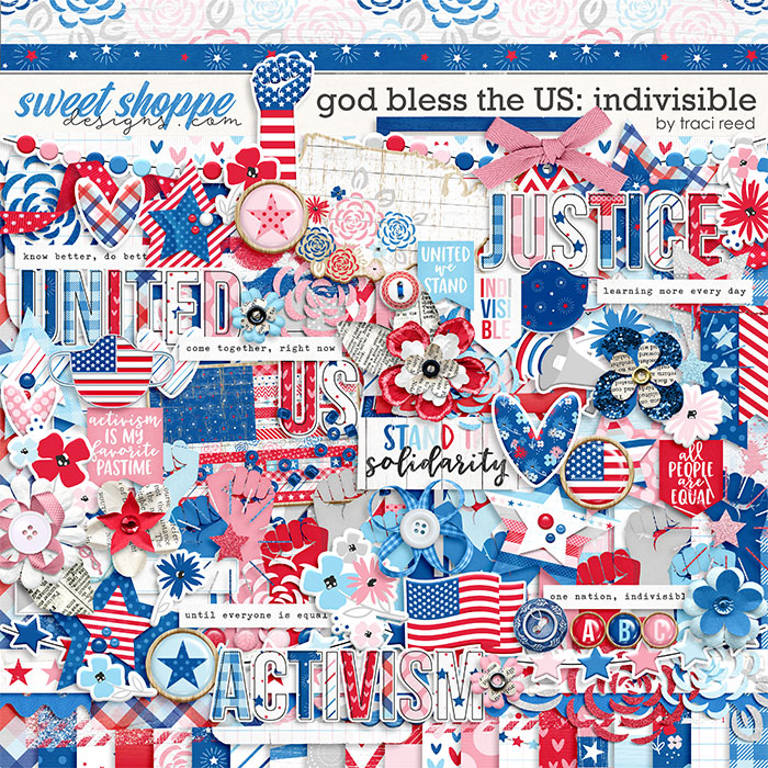 God Bless The US: Indivisible by Traci Reed
