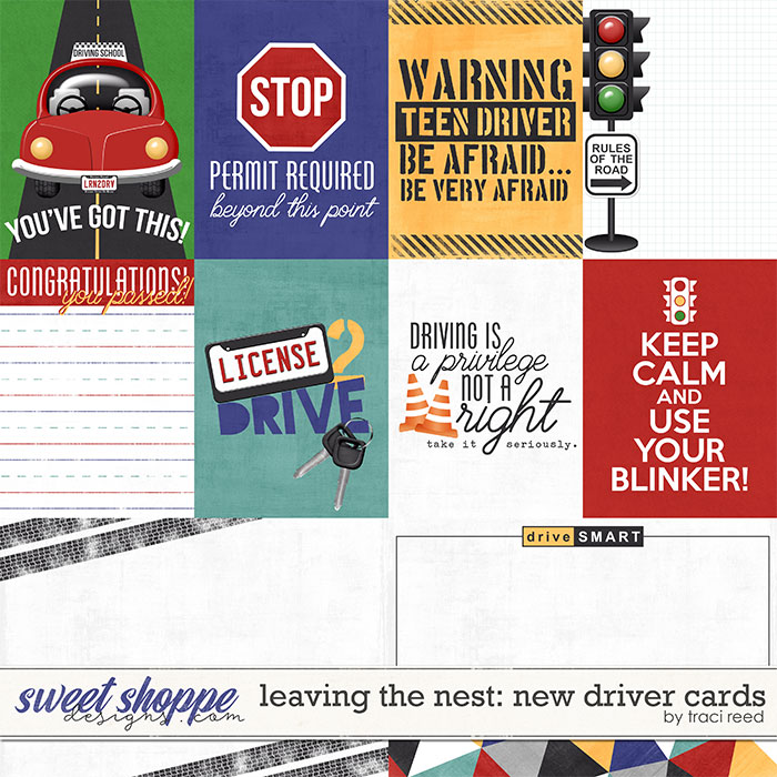 Leaving The Nest: New Driver Cards by Traci Reed