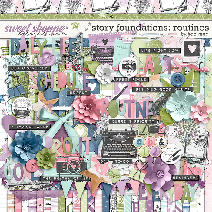 Story Foundations: Routines by Traci Reed