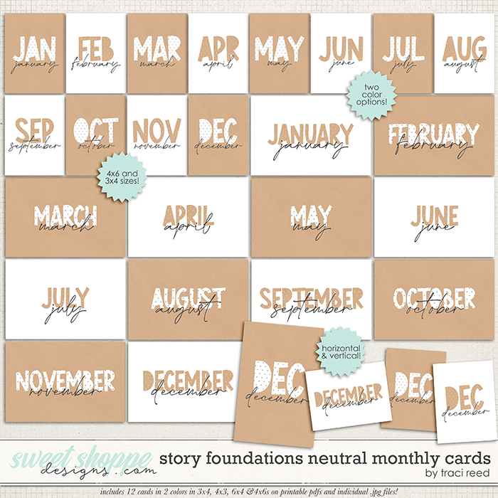 Story Foundations Neutral Monthlies by Traci Reed