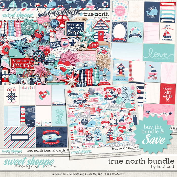 True North Bundle by Traci Reed