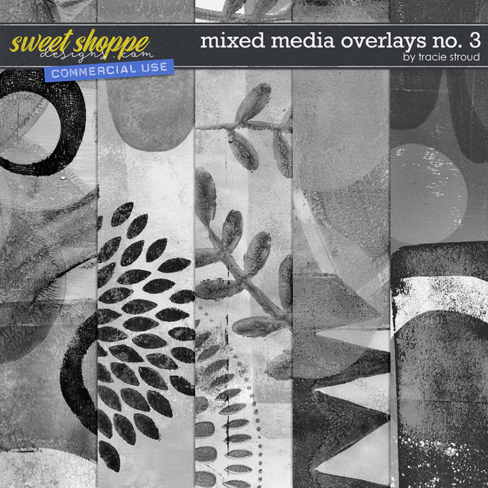 CU Mixed Media Overlays no. 3 by Tracie Stroud