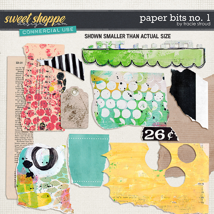 CU Paper Bits no. 1 by Tracie Stroud