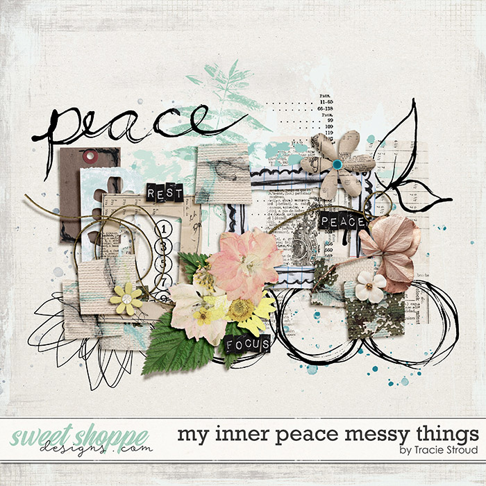 My Inner Peace Messy Things by Tracie Stroud