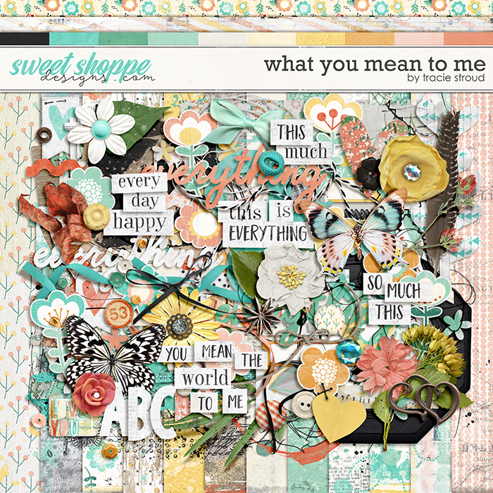 What You Mean to Me by Tracie Stroud