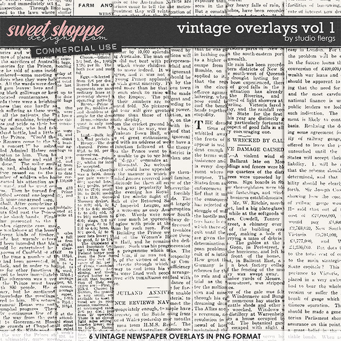 Vintage Overlays VOL 1 by Studio Flergs 