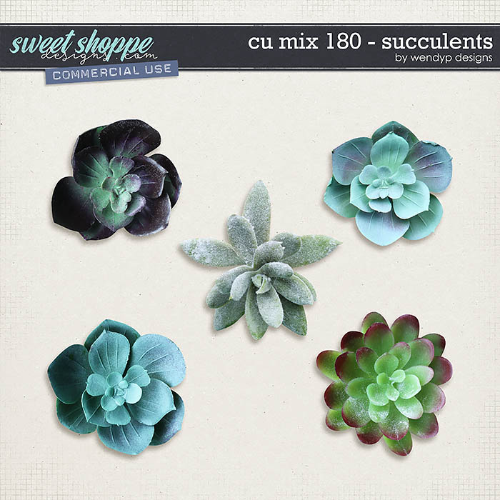 CU Mix 180 - succulents by WendyP Designs 