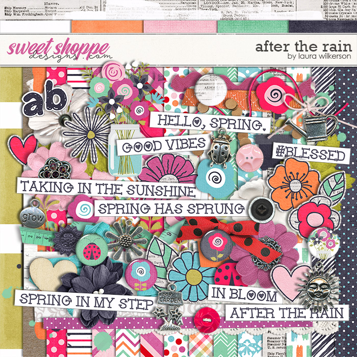 wilkerson-aftertherain-preview.jpg