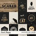 Scaredy Cat: Cards by Kristin Cronin-Barrow
