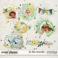 In The Woods - Overlays by Red Ivy Design