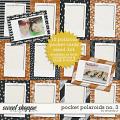 Pocket Polaroids No.3 by Amanda Yi