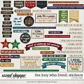 The Boy Who Lived: STICKERS by Traci Reed The Boy Who Lived: STICKERS by Traci Reed