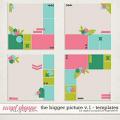 The Bigger Picture Templates Vol.1 by Digital Scrapbook Ingredients