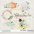 Be Kind - Overlays by Red Ivy Design