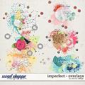 Imperfect - Overlays by Red Ivy Design