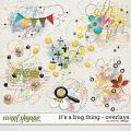 It's a Bug Thing - Overlays by Red Ivy Design